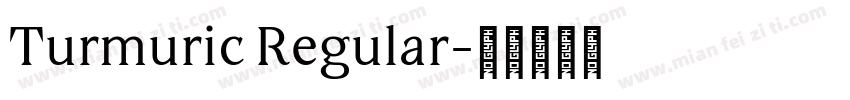 Turmuric Regular字体转换